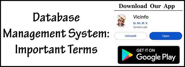 Database Management System: Important Terms